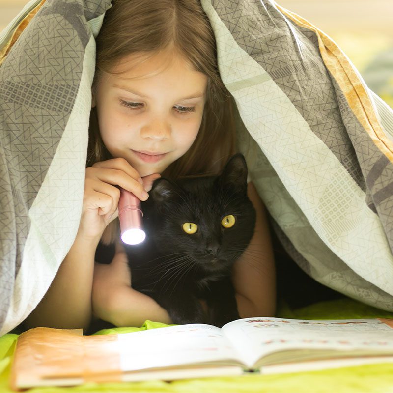 A girl reading with her cat under the covers.